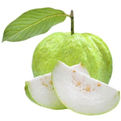 Thai Guava