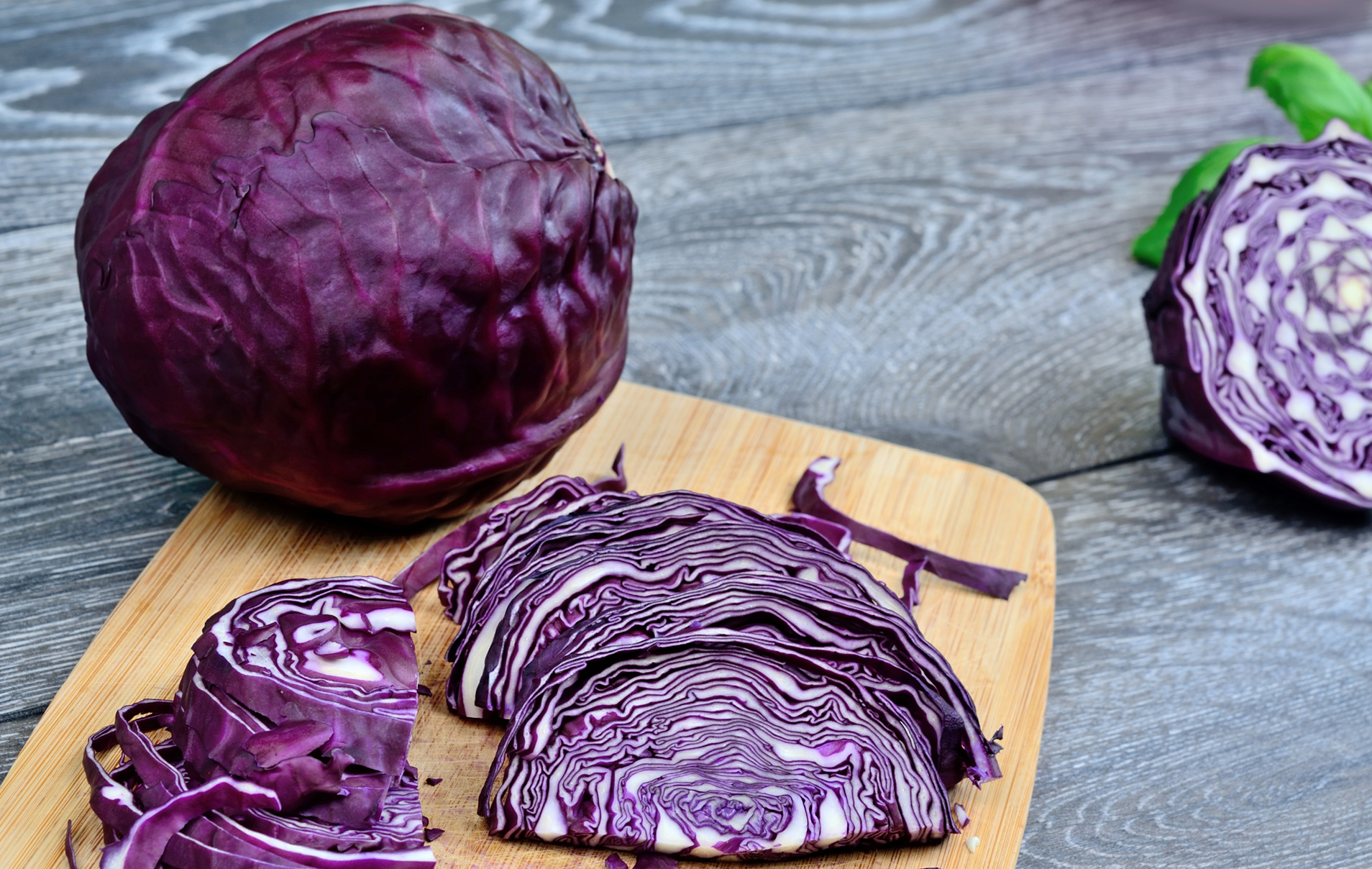 Red Cabbage