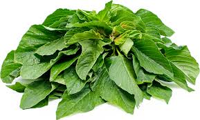 Green Amaranthus (Root-cut)