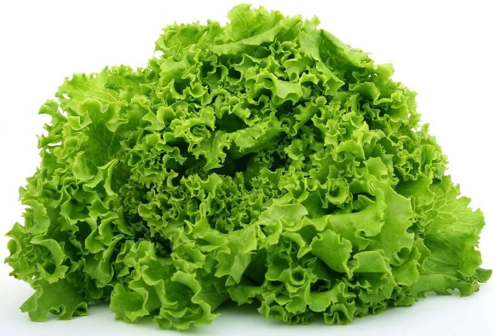 Lettuce Green