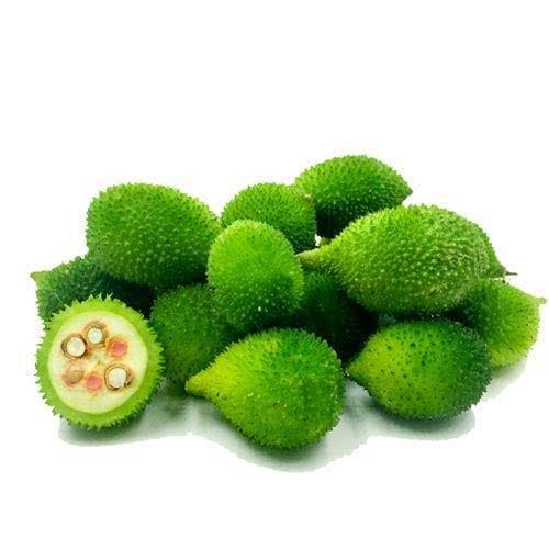 Kantoli ( Forest Bitter Gourd)