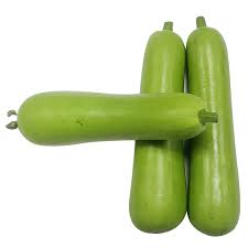 Baby Bottle Gourd