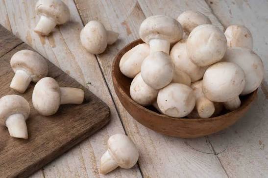 Mushroom