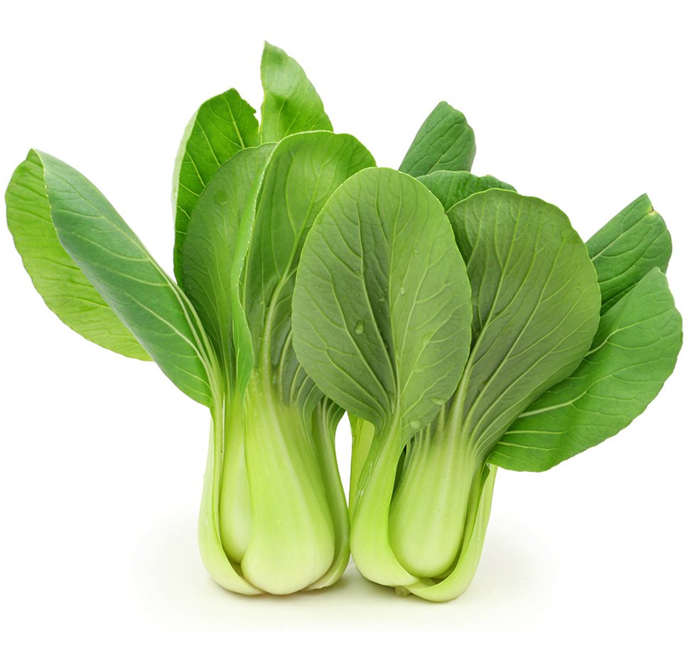 Bok Choy
