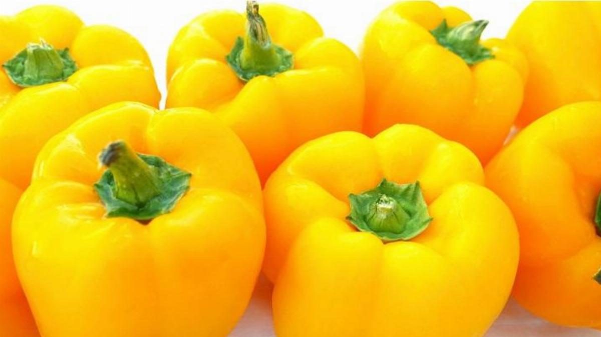 Capsicum Yellow