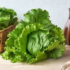 Iceberg Lettuce