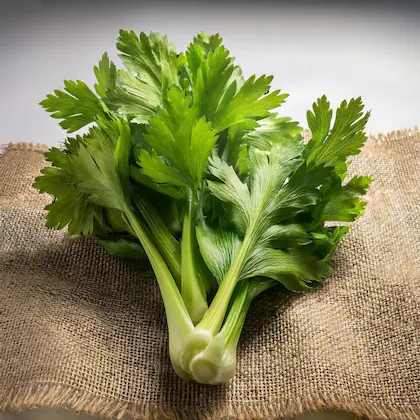 Celery
