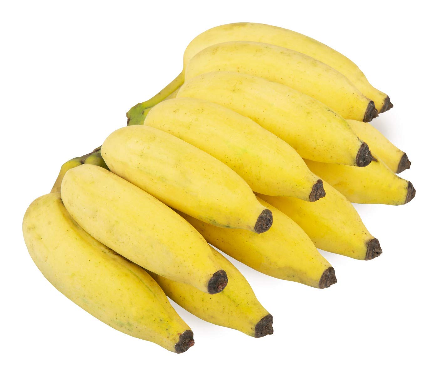 Banana Yelakki