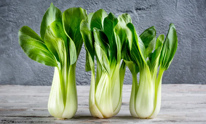 Bok Choy