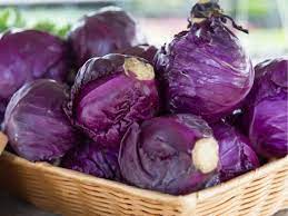 Red Cabbage