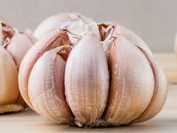 Garlic Ooty