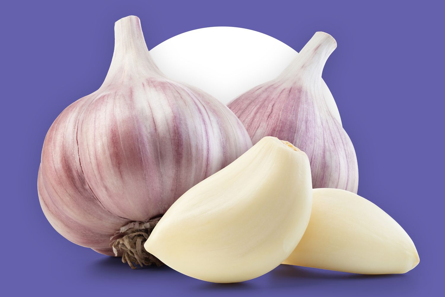 Garlic Ooty