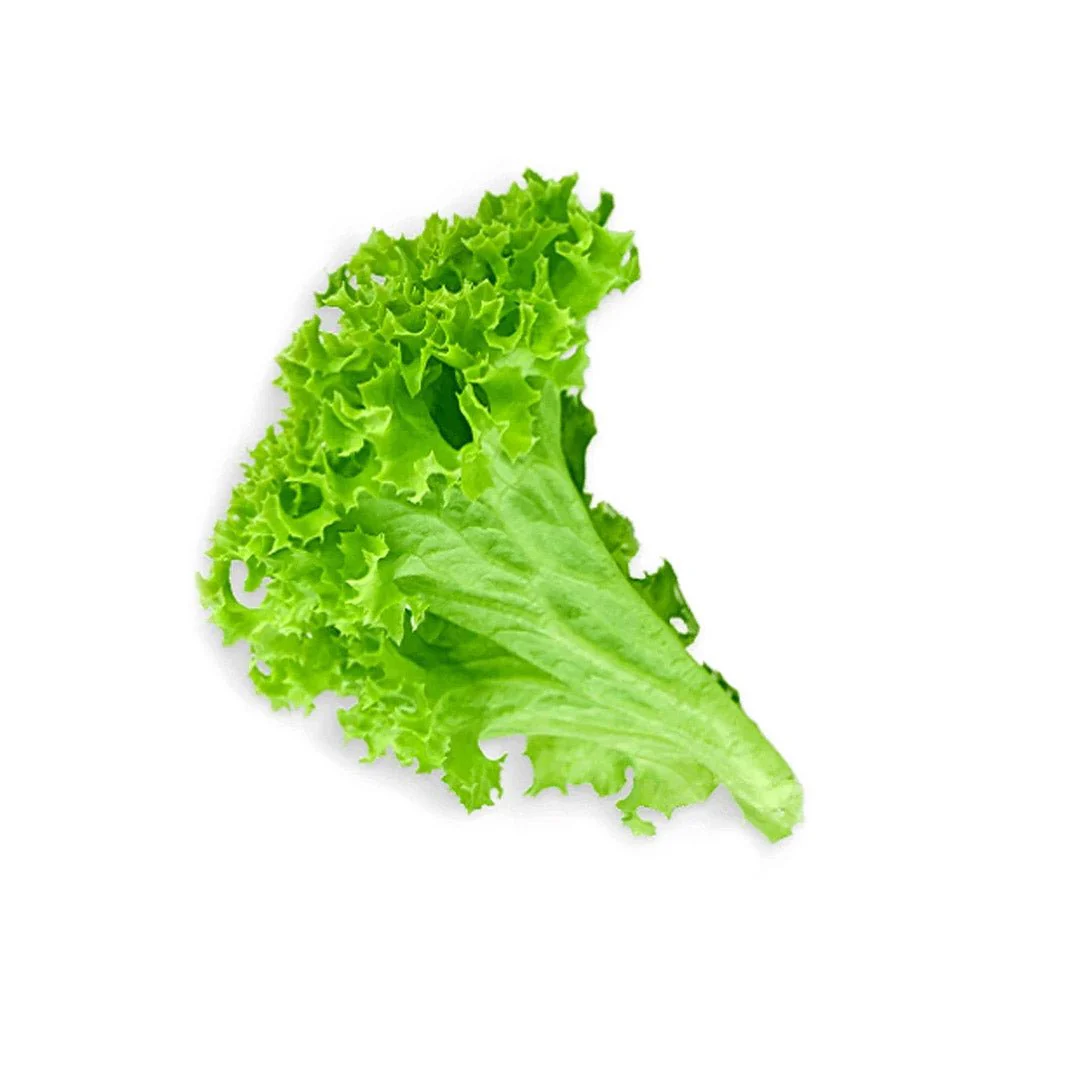 Lettuce Green